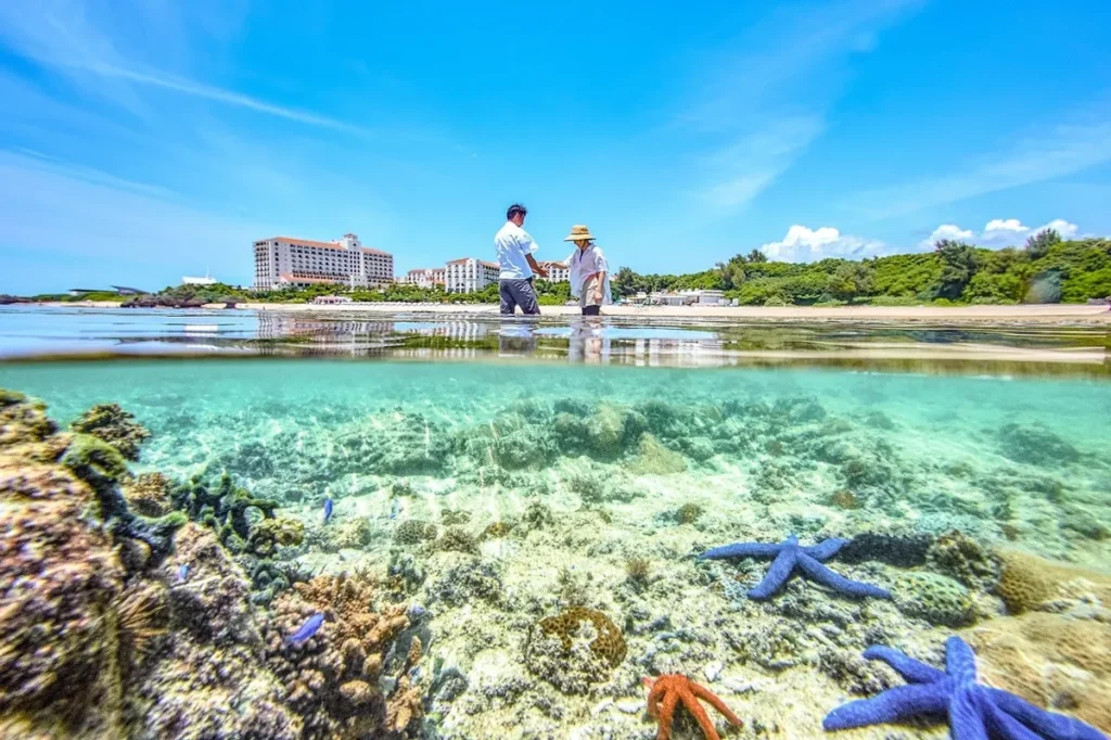 沖縄・ホテル日航アリビラで夏限定イベント「el sol」開催！花火やナイトプールで彩る贅沢な休日