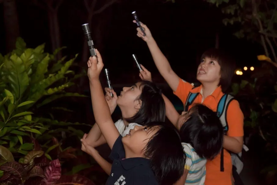 懐中電灯を手に夜の森を探索する子供たち