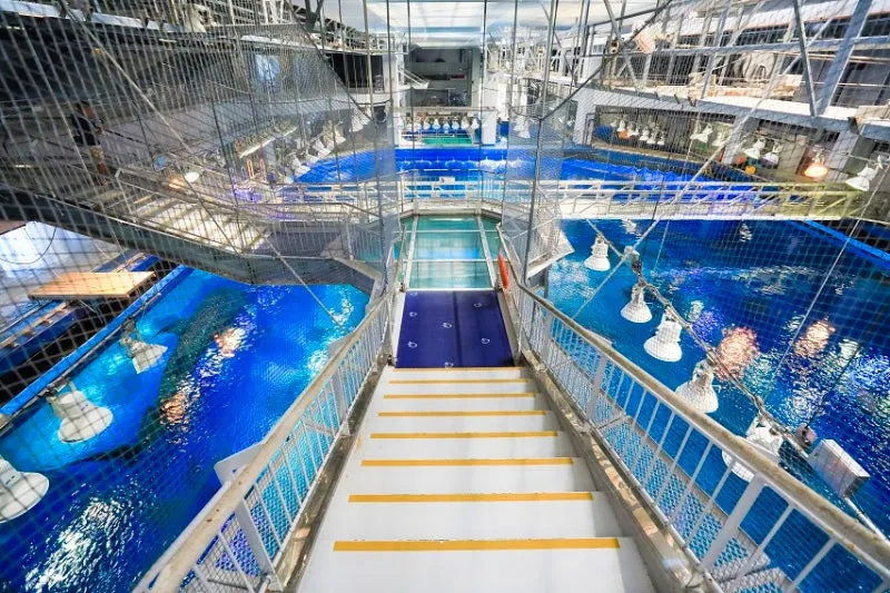 水族館の大水槽を上から見学できるバックヤード